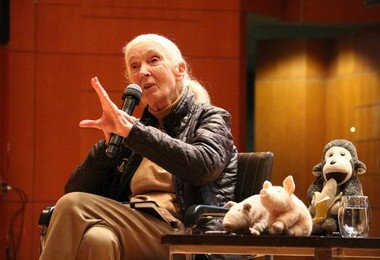 Dr Jane Goodall's Inspiring Talk at HKU: A Call to Action for Youth and Society