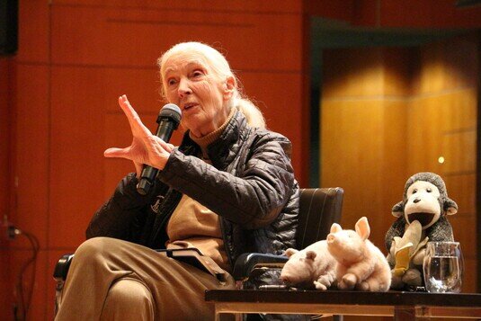 Dr Jane Goodall's Inspiring Talk at HKU: A Call to Action for Youth and Society