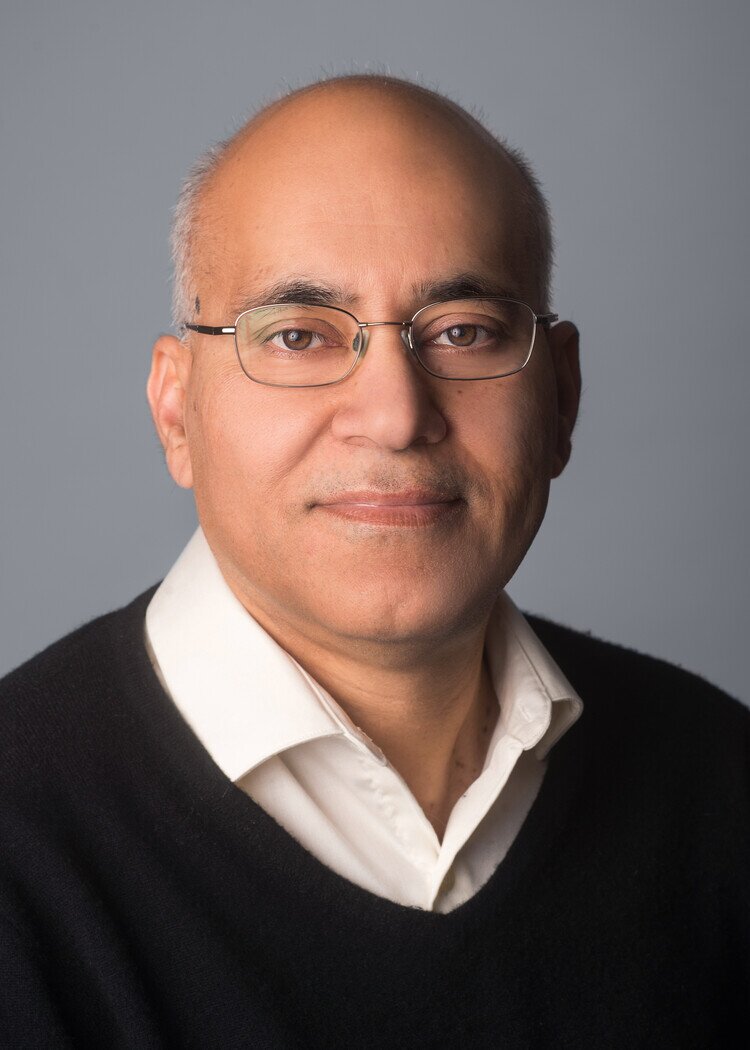 Professor Jitendra Malik